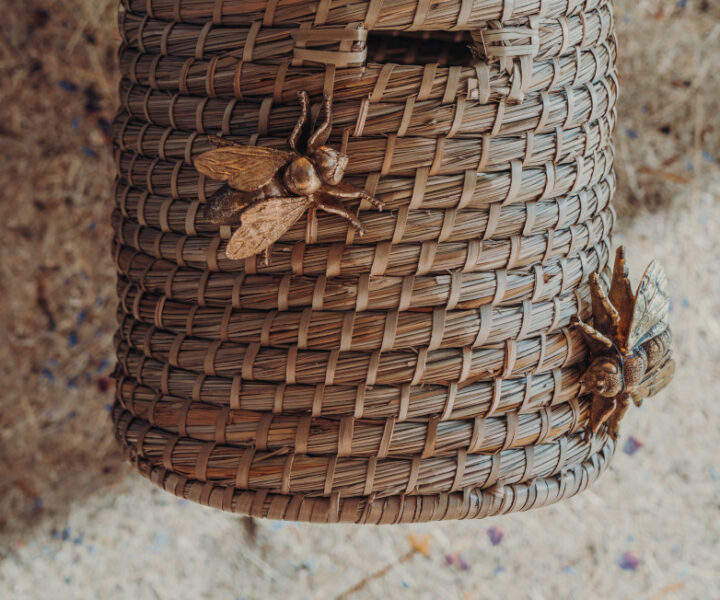 Organoid-natural-surfaces-ALMWIESN-c-Berghotel-Schlossanger-Alp-4-1