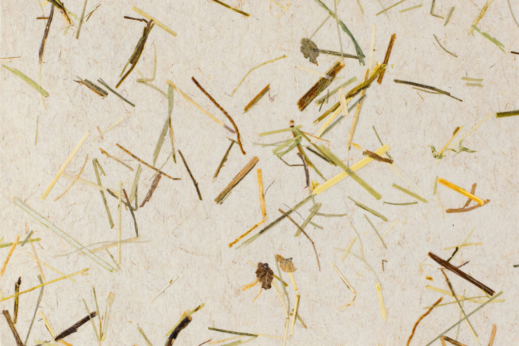 WILDSPITZE light - auf Flachsvlies