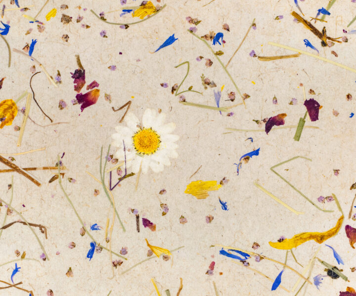 ALMWIESE light - auf Flachsvlies