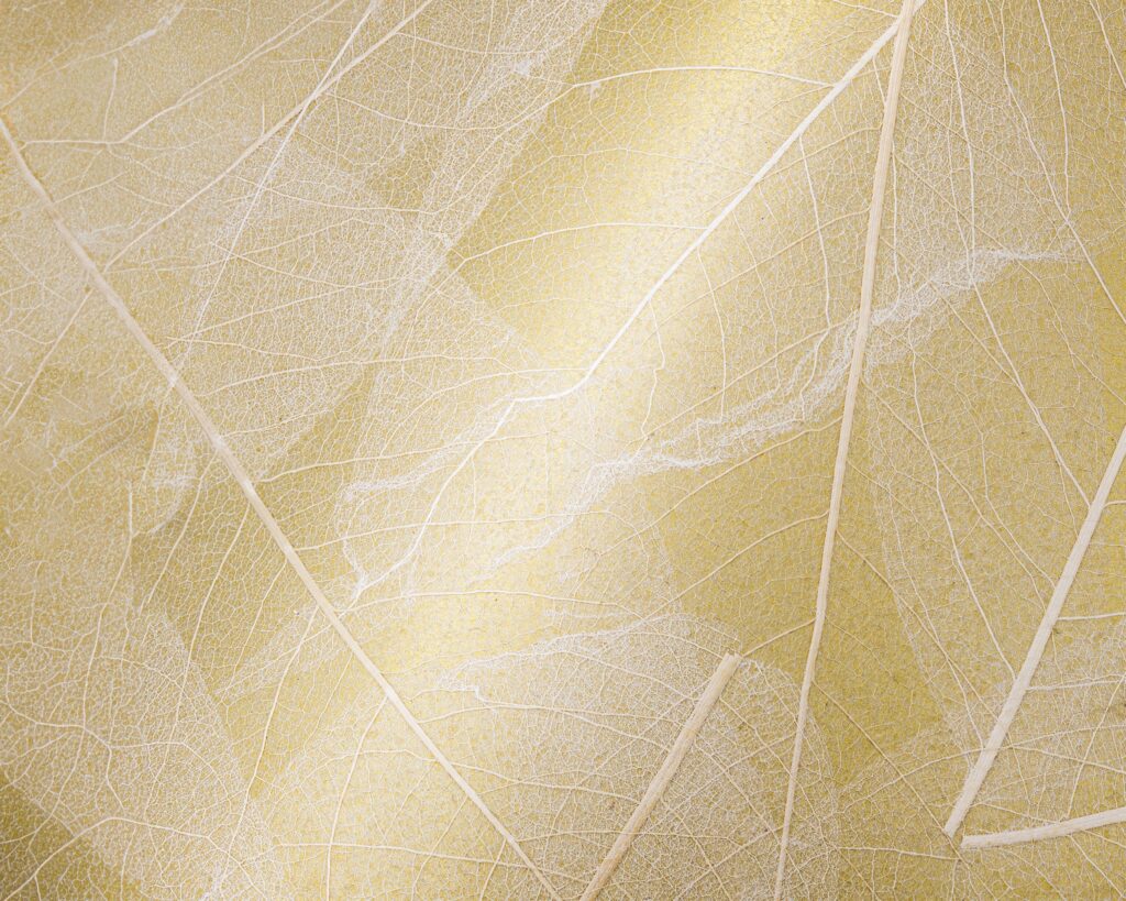 SKELETTBLÄTTER GOLD - auf goldenem Papier